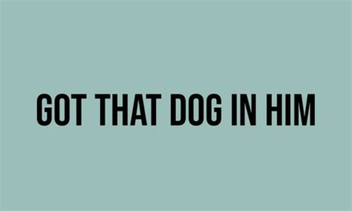 Got That Dog In Him Trending Videos Gallery Know Your Meme