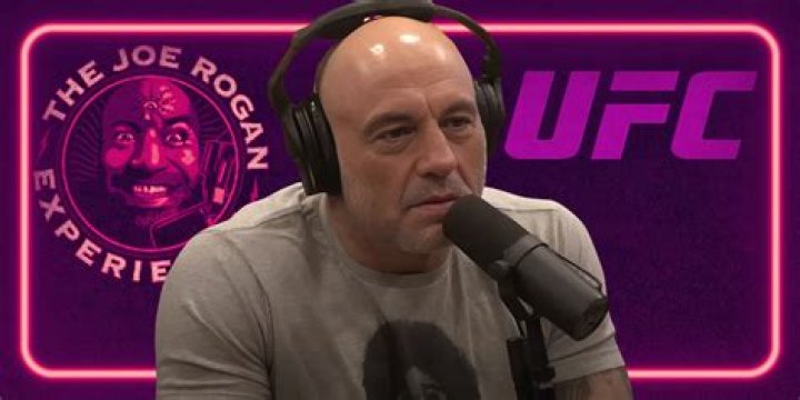 Joe Rogan News, Photos, Videos, and Movies or Albums Yahoo