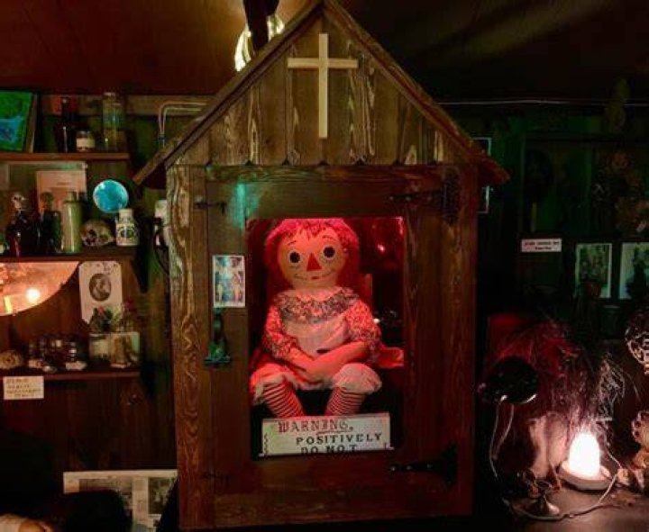 The Enduring Closure Of The Warren Museum
