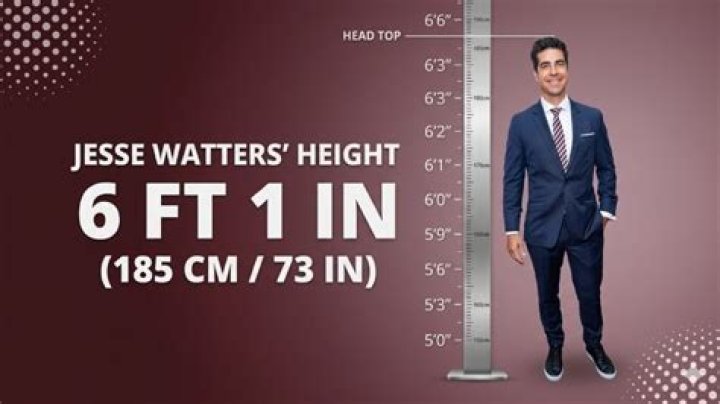 Uncover The Truth: Jesse Watters' Height Revealed!