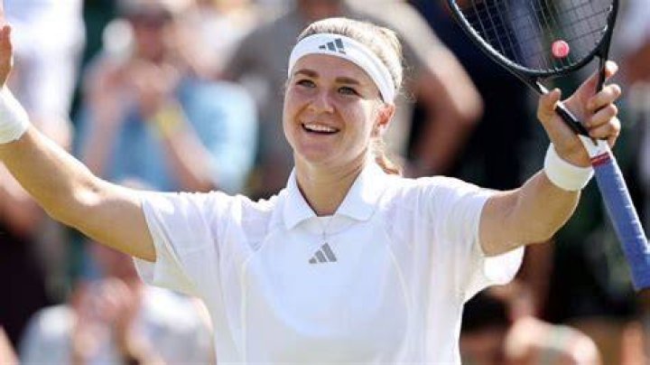 Unveiling Karolina Muchova's Marital Status: Discoveries And Insights